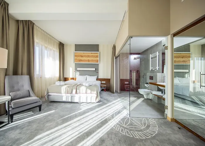 ホテル Kopieniec Fizjo- Med & ムジャシフレ